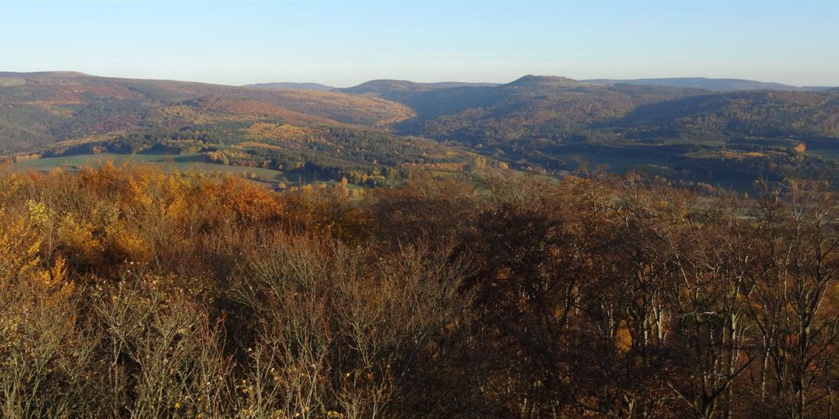 DSC06735_bearbeitet-1