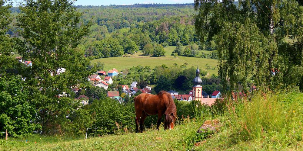 Mountainbiken in Bad Brückenau